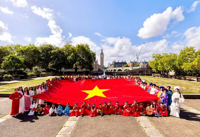 viet phuc 10
