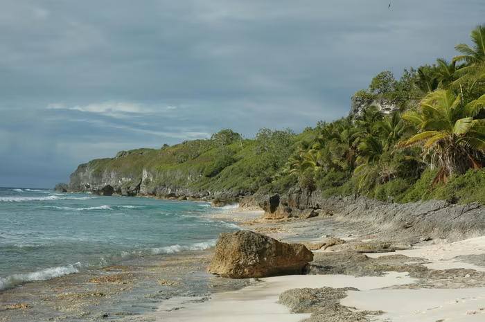 Henderson 1