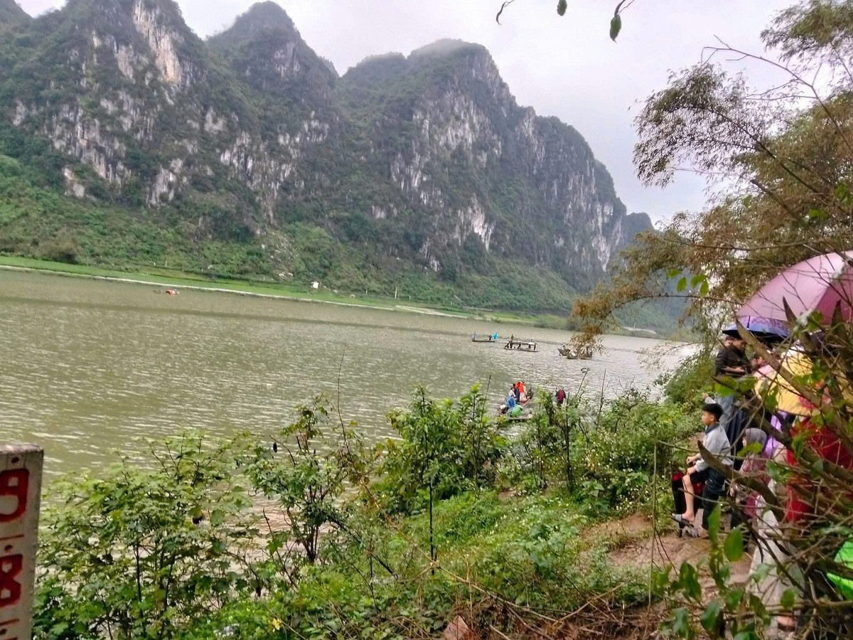 chim do quang tri 4