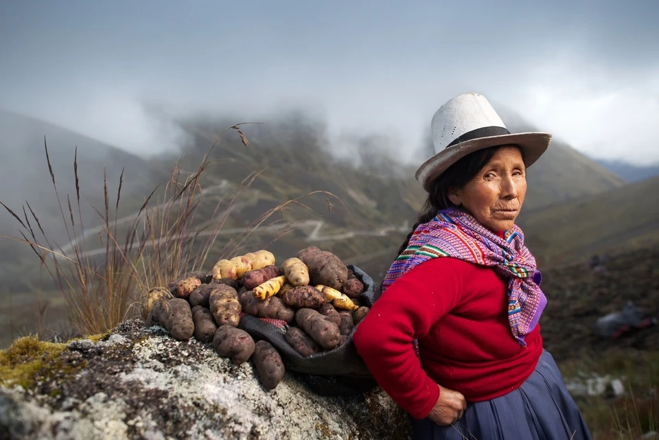 peru 1