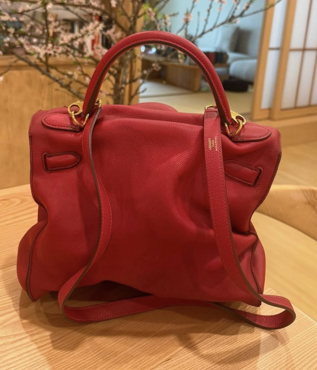 tui hermes meo mo 1