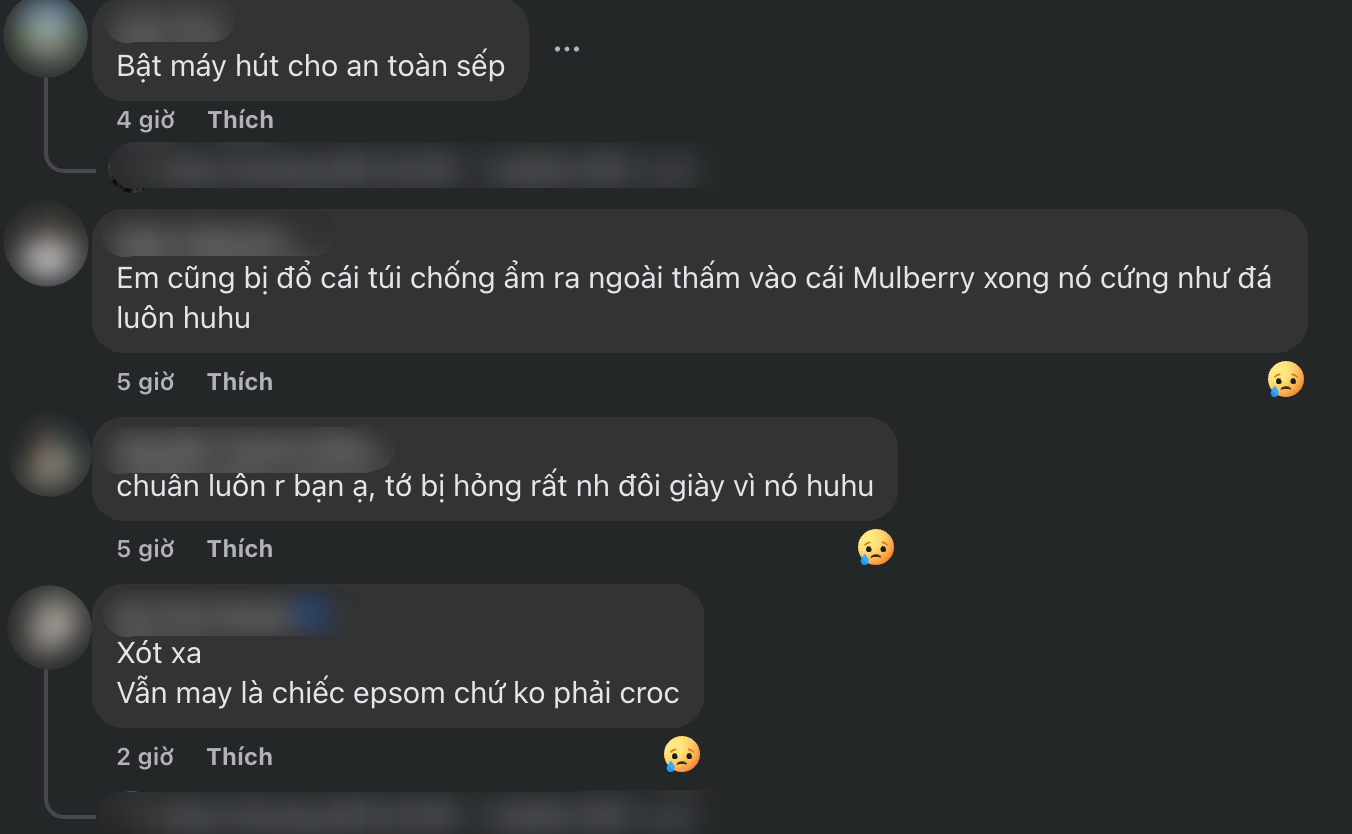 tui hermes meo mo 1