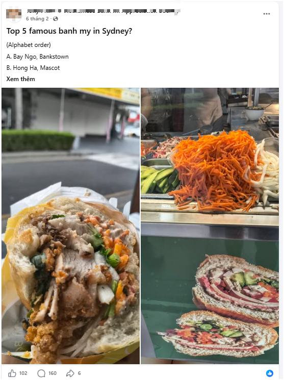 banh mi viet nam 1