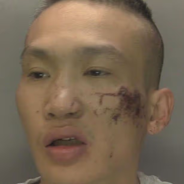 hieu nguyen birmingham 1