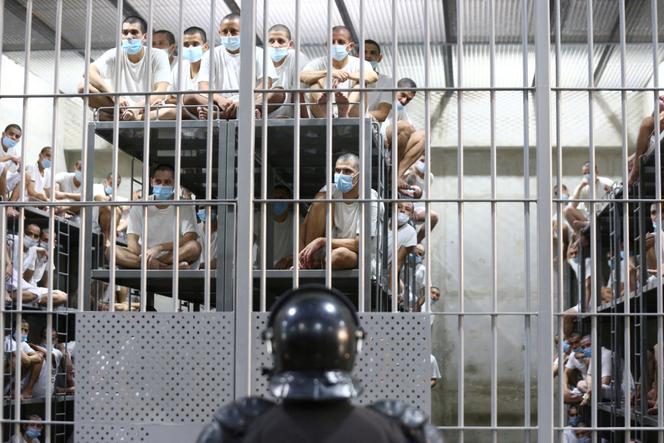 Đảng Cải cách Anh muốn gửi tù nhân nước ngoài nước ngoài sang El Salvador