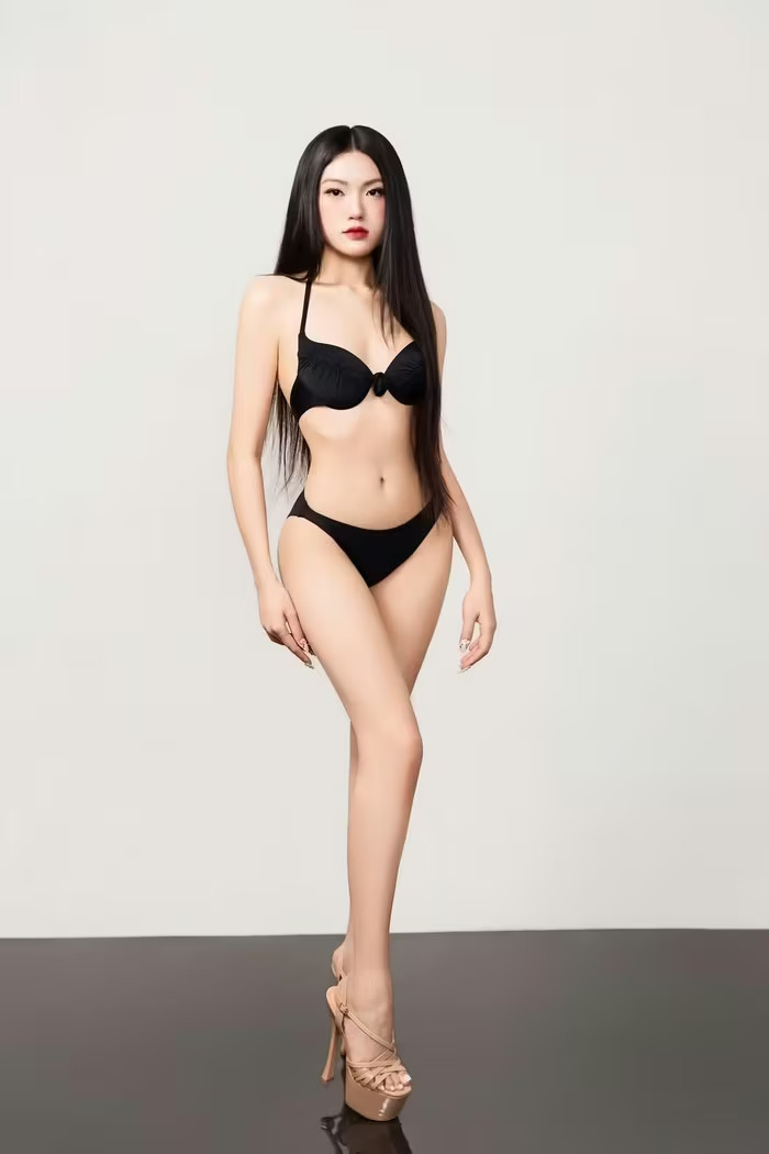 hoa hau VN 2026 1