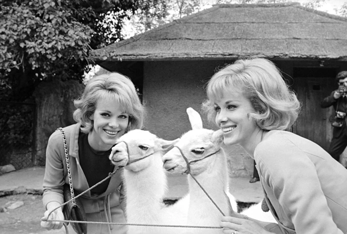 Alice Kessler Ellen Kessler 1