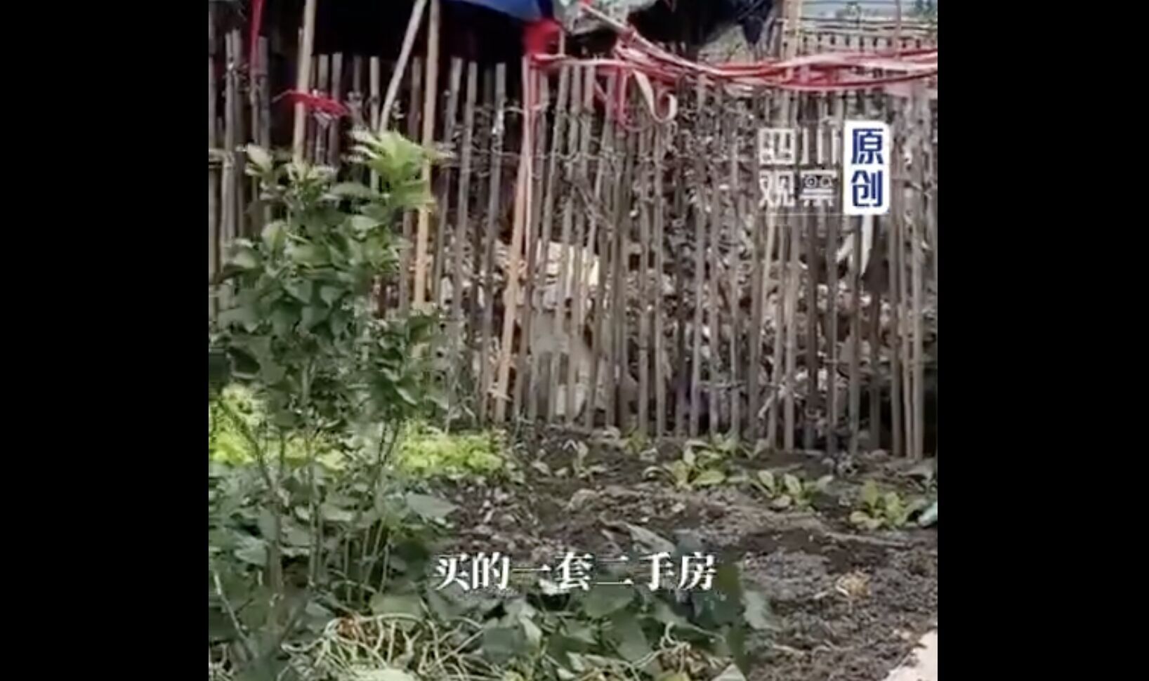 ngoi mo san thuong 1