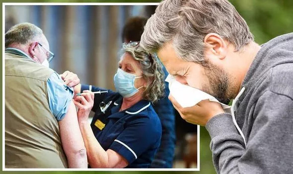 28hayfever