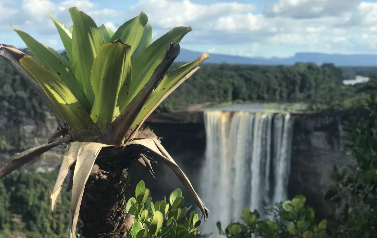 Guyana