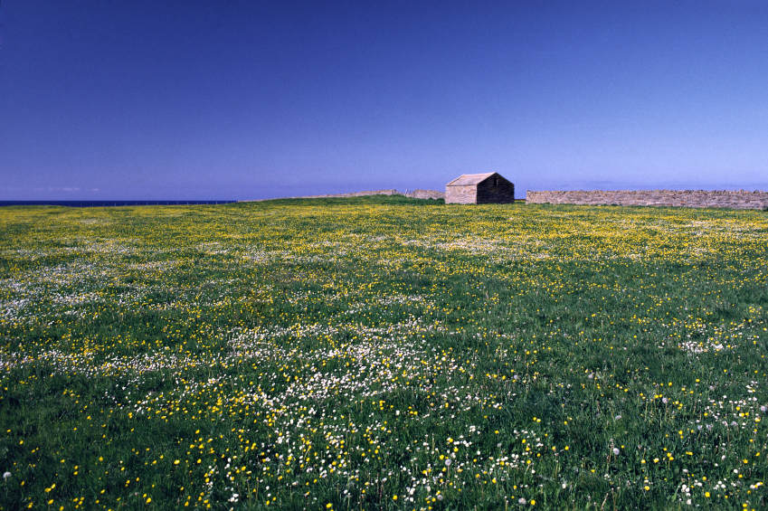 Orkney
