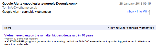 google alert email