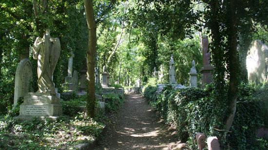 images692260 7996 highgate