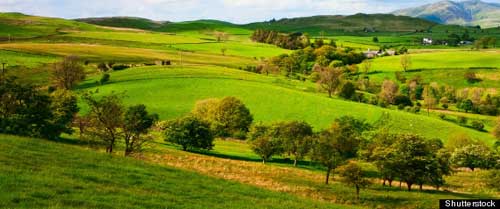 yorkshine-shutterstockok