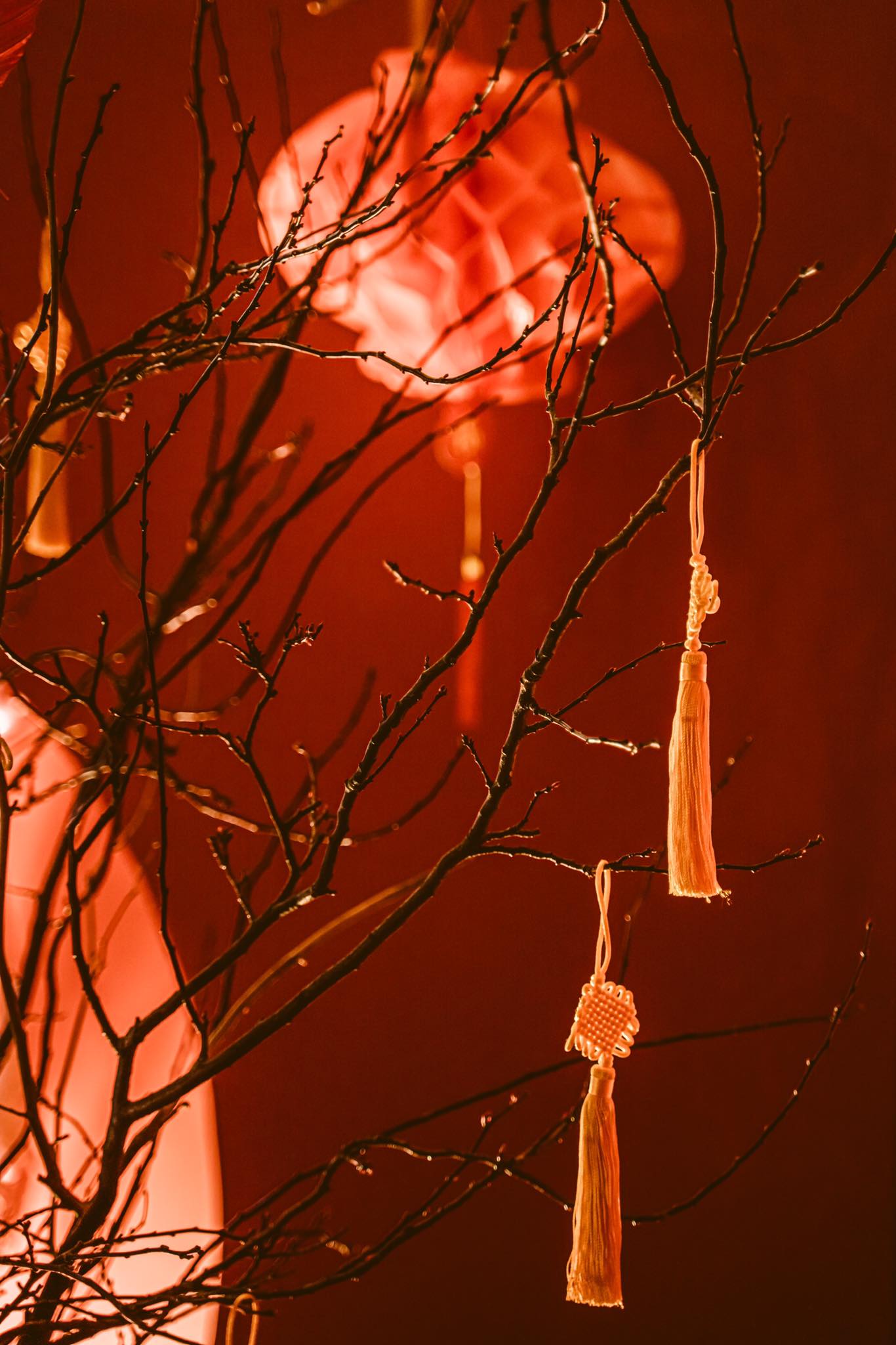 Tet nguoi viet anh quoc 01