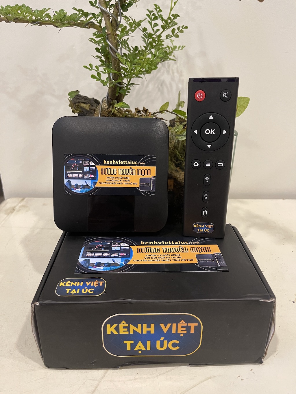 kenh viet tai vuong quoc anh