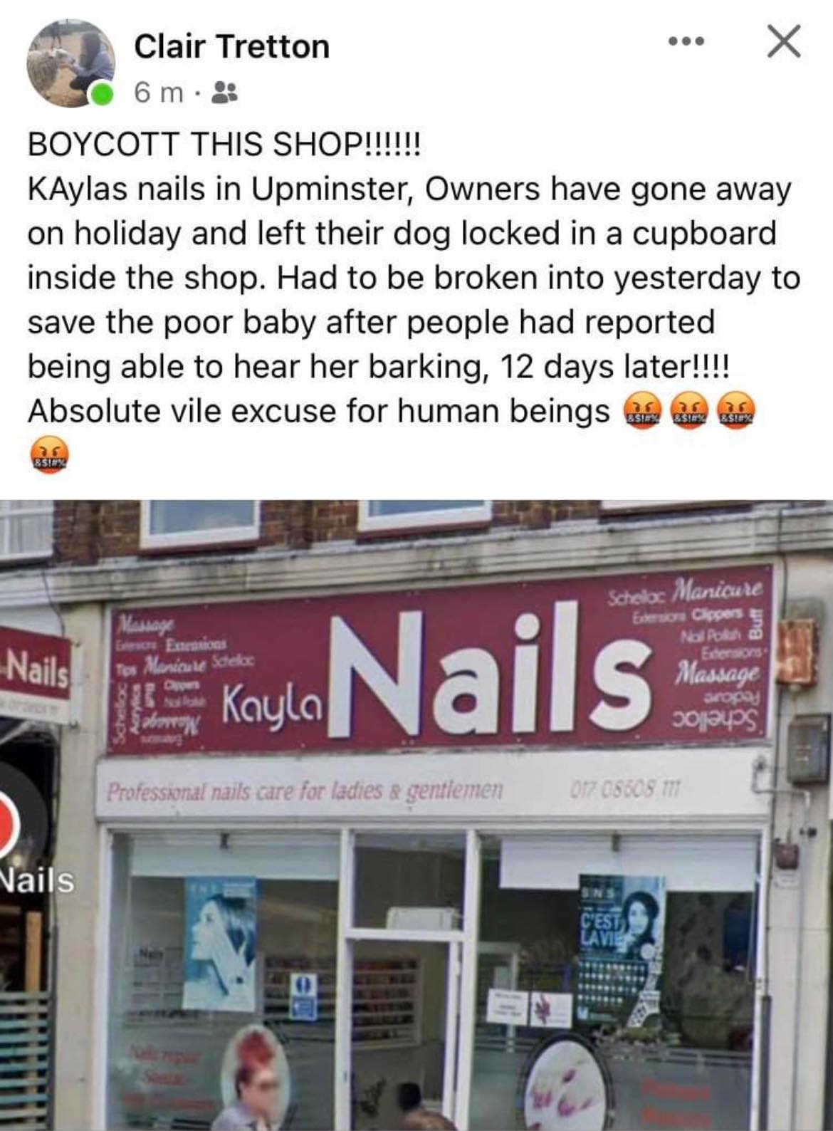 tiem nail nguoc dai dong vat upminster 0